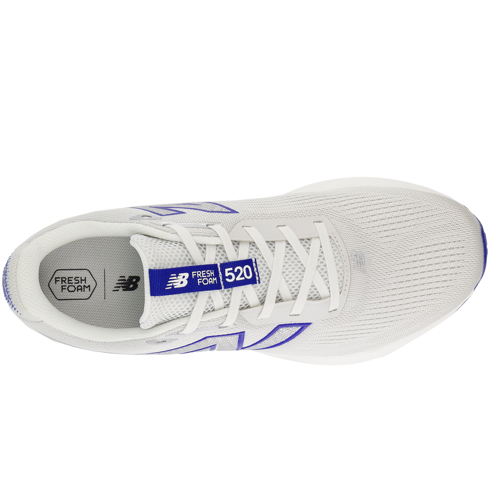 Férfi cipő New Balance Fresh Foam x 520 v9 M520LG9 – szürke